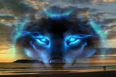 BLUE WOLF WALLPAPER   (