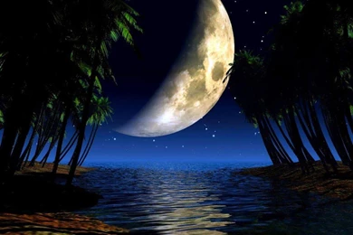 MOONLIGHT WALLPAPER   (