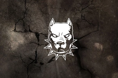 Mad Dog Pictures   Wallpapers HD Fine