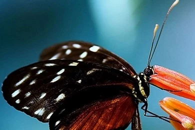 Galaxy S3 Wallpapers HD   Beautiful, Stunning Wallpapers