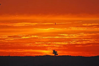 Cactuar Sunset Current Wallpapers Wallpapers   (