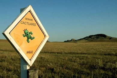 Cactuar Wallpapers   (