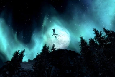 For Those Of You Seeking A New 1080p Wallpaper... Snapped This ...