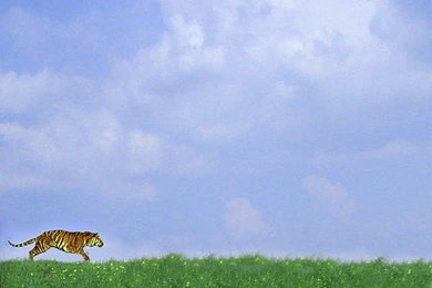 Backgrounds 4 Christian   Free Download Christian Clipart ...