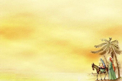 Powerpoint Backgrounds Nature Wallpapers   761395