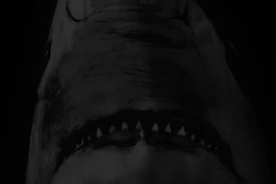 Givenchy iPhone (4/4S) Wallpapers « Kanye West Forum