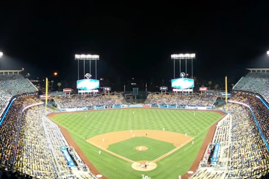 Weekly /r/Nexus5 Photos Thread   Show Us The Pictures You've Taken ...