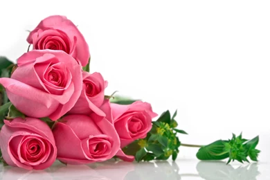 Roses Bouquet Wallpapers   HD Wallpaper Backgrounds Of Your Choice