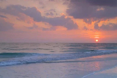 The Bible With Bobbi