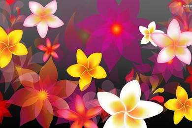 Colorful Flowers Wallpapers   Digital Art Wallpapers