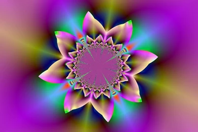 Best Abstract Colorful Flower Wallpapers Free Best Abstract ...