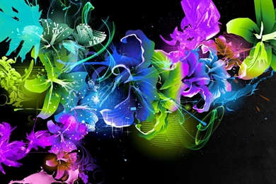 Colorful Flowers Wallpapers Artistic Wallpapers