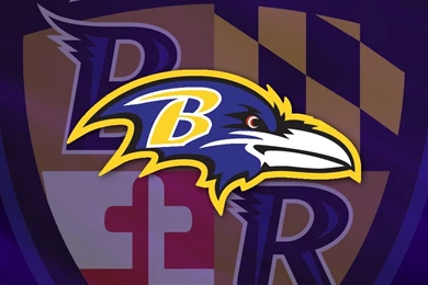 Baltimore Ravens Photo Baltimore Ravens Wallpapers High Resolution ...