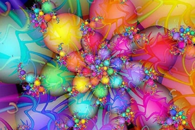 Colorful Abstract Flower 1204911 Wallpapers   (