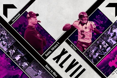 Jestingstock.com Ravens Super Bowl Wallpapers