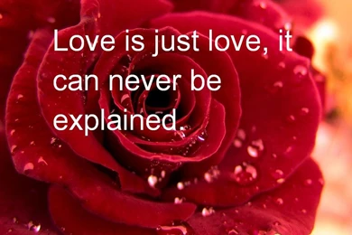 Happy Valentines Day Wallpapers 2016