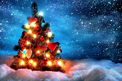 Christmas Pictures For Backgrounds Desktop Christmas Tree Photos ...