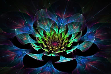 Wallpapers 3D Lotus Flower   HD Wallpapers Expert