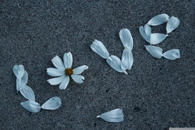 Love Message HD Desktop Wallpapers : High Definition : Fullscreen ...