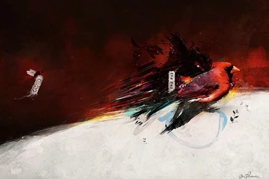 Red Bird   FWA Inspired Design Wallpapers 1920*1200 43   Wallcoo.net