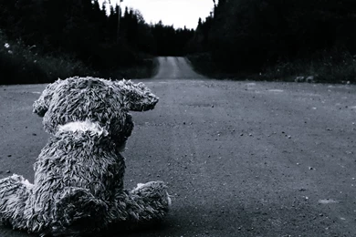 Sad Teddy Bear Computer Wallpapers, Desktop Backgrounds ...