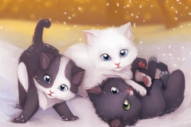 KITTENS AT CHRISTMAS WALLPAPER   (