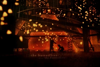 Download Cowboy Bebop Wallpapers 1280x800