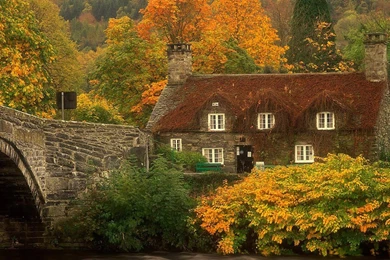 Desktop Backgrounds High Resolution   Widescreen HD Wallpapers