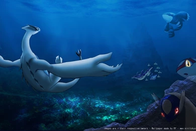 Some Water Pokemon Wallpapers   Album On Imgur