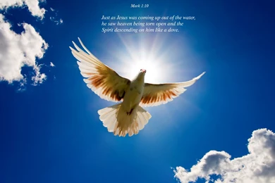 Christian Wallpapers Wallpapers HD Fine