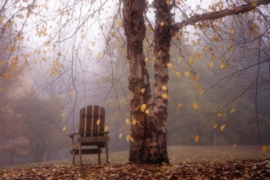 1280x800 Autumn Leaves Falling Over Chair Desktop PC And Mac Wallpapers
