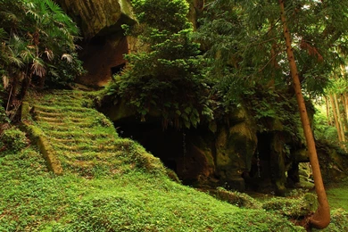 Landscapes, Nature, Trees, Ruins, Forest, Grass, Stairways, View ...