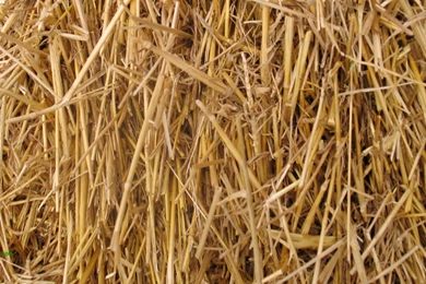 Straw Backgrounds Ten