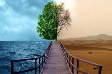 3d Graphic Art 2 HD Wallpapers