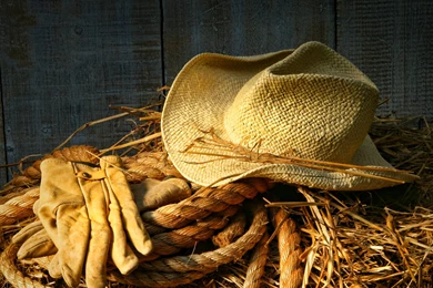 Country Wallpapers HD Image Download Free