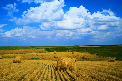 Straw Field Clouds & Sky Wallpapers