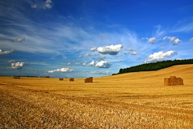Straw Field, 1440x900 Pixels : Wallpapers Tagged Landscape.