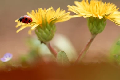 Android Tablet Wallpapers R3I   Savewallpaper.com