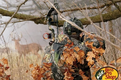 Justpict.com Deer Bow Hunting Wallpapers