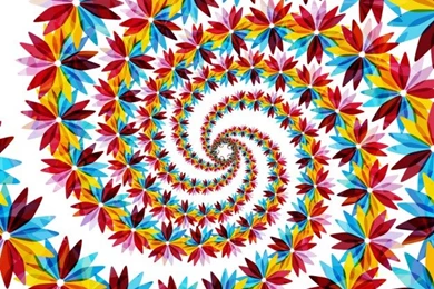 Colorful Swirl Flower Backgrounds Vector