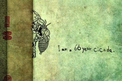 After 3/11, Short film Director Has One Message: Don't Forget ...