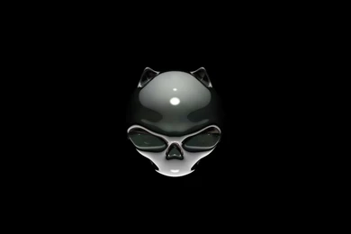 Cat Skull Wallpapers   209813