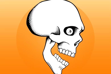 Cartoon Skull Images   Wallpapers HD Base