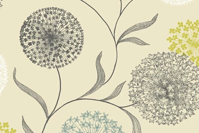 Starburst Floral Blue & Cream Wallpapers