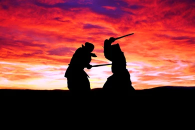 Kung Fu Wallpaper: Action By Free Download Best HD Wallpapers And ...