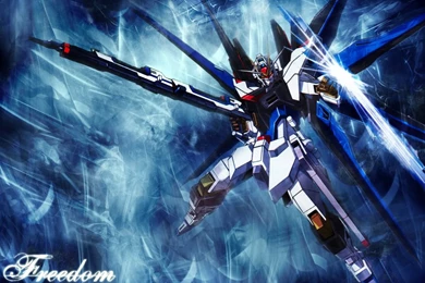 Shadow Moon: ZGMF X20A Strike Fredom