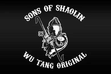 DeviantArt: More Like Sons Of Shaolin Poster By Grasuc