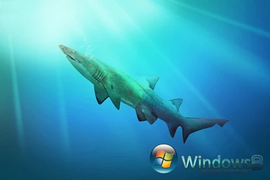 Best 20+ Cool Windows 8 Wallpapers HD 1920x1200 Backgrounds