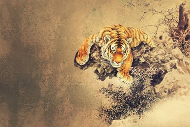 RETURNING TO BALANCE – Robinson Vs. Parkinson's