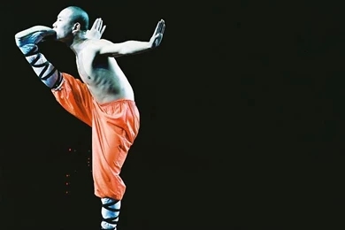 Shaolin Wallpaper Backgrounds Wallpaper, Size: 735x616 ...